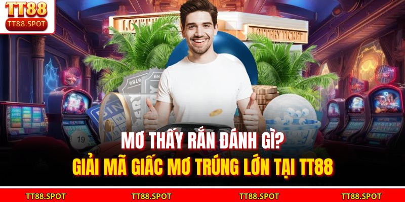 Những lưu ý khi mơ thấy rắn giúp người chơi chọn số chính xác hơn